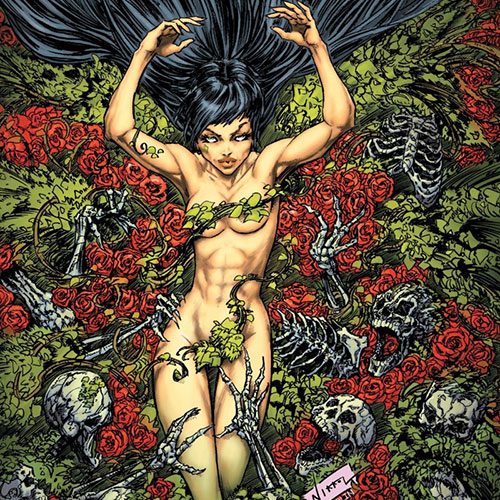 Nikkol-Jelenic-website-graphic